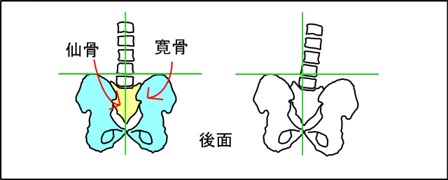 骨盤