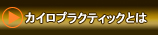 カイロプラクティックとは